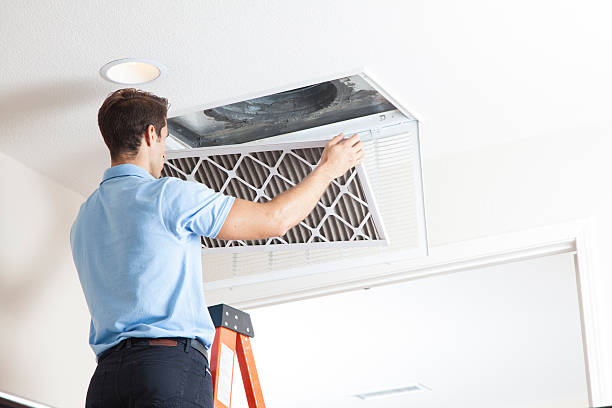 Best HVAC air duct cleaning  in Larch Y, WA